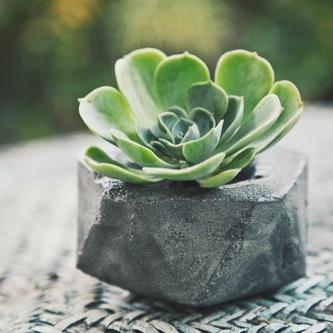 Concrete Geometric Giveaway